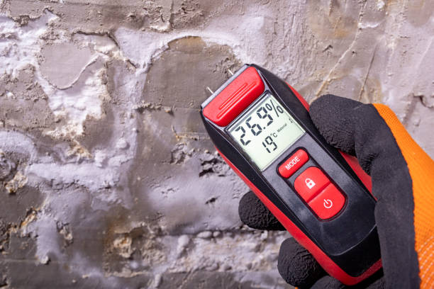 Best Attic Mold Removal  in Osceola, IA