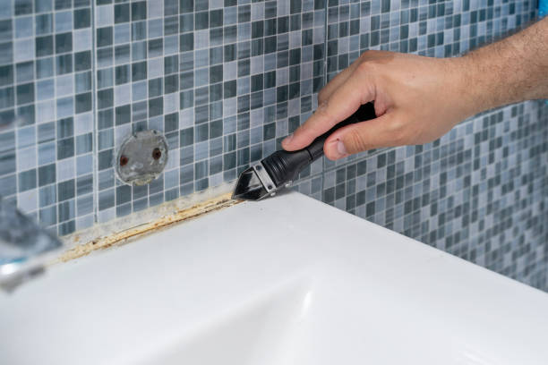 Mold Removal Process in Osceola, IA